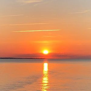 Meet your Posher, Sonia